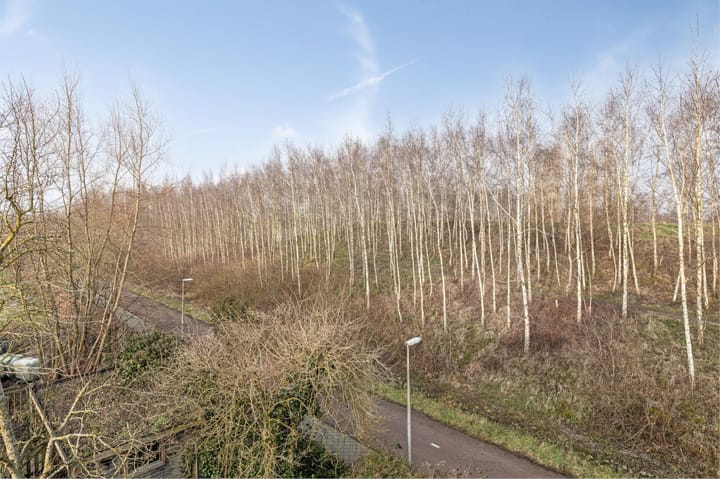 Foto 16 van Loverendale 39