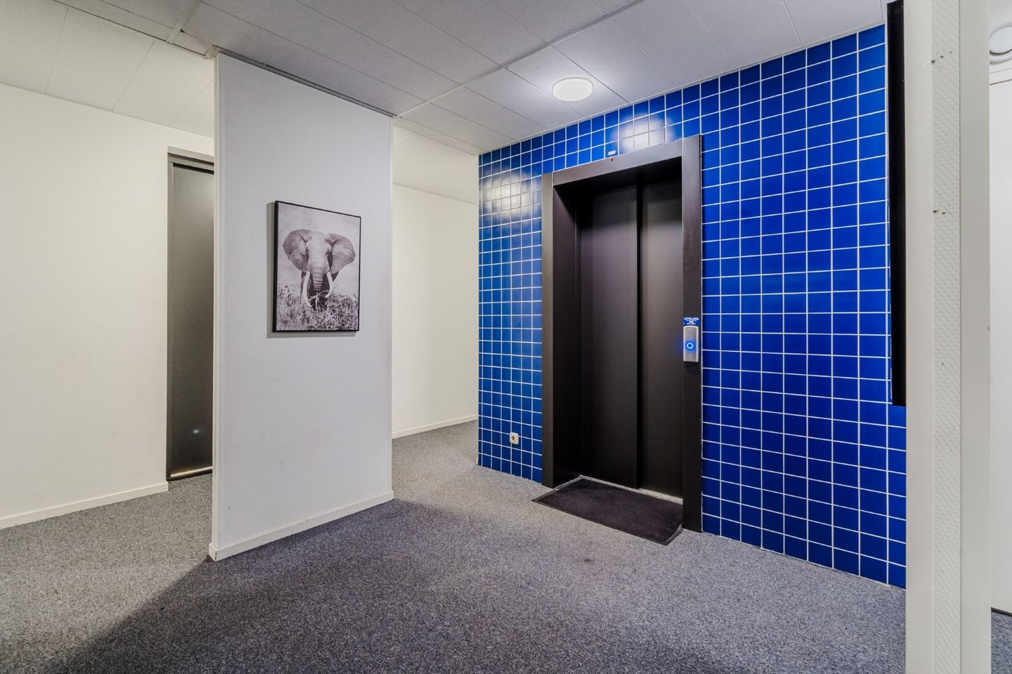 Foto 14 van Strandweg 377