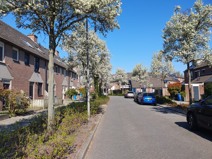 Foto 33 van Janswaal 57