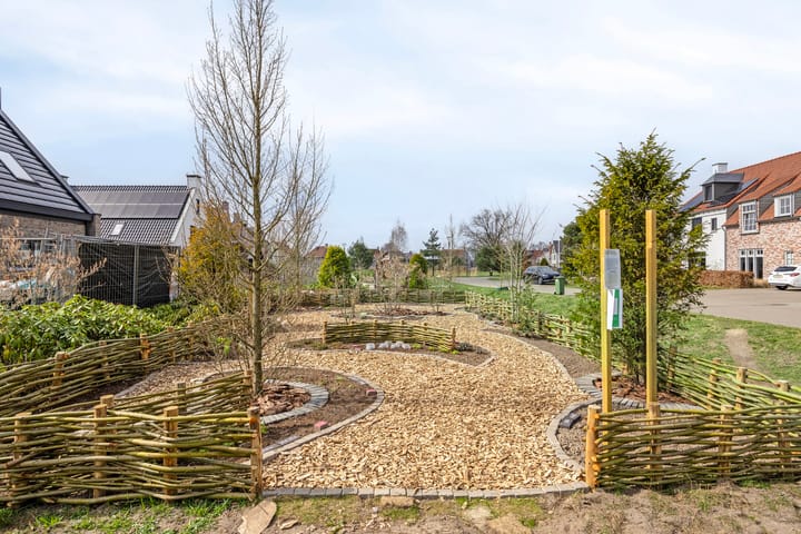 Foto 75 van Bosuil 9