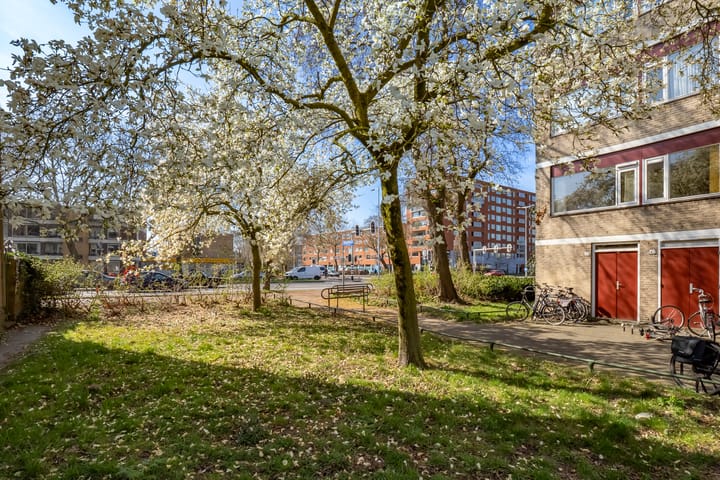 Foto 32 van Molengraaffplantsoen 36