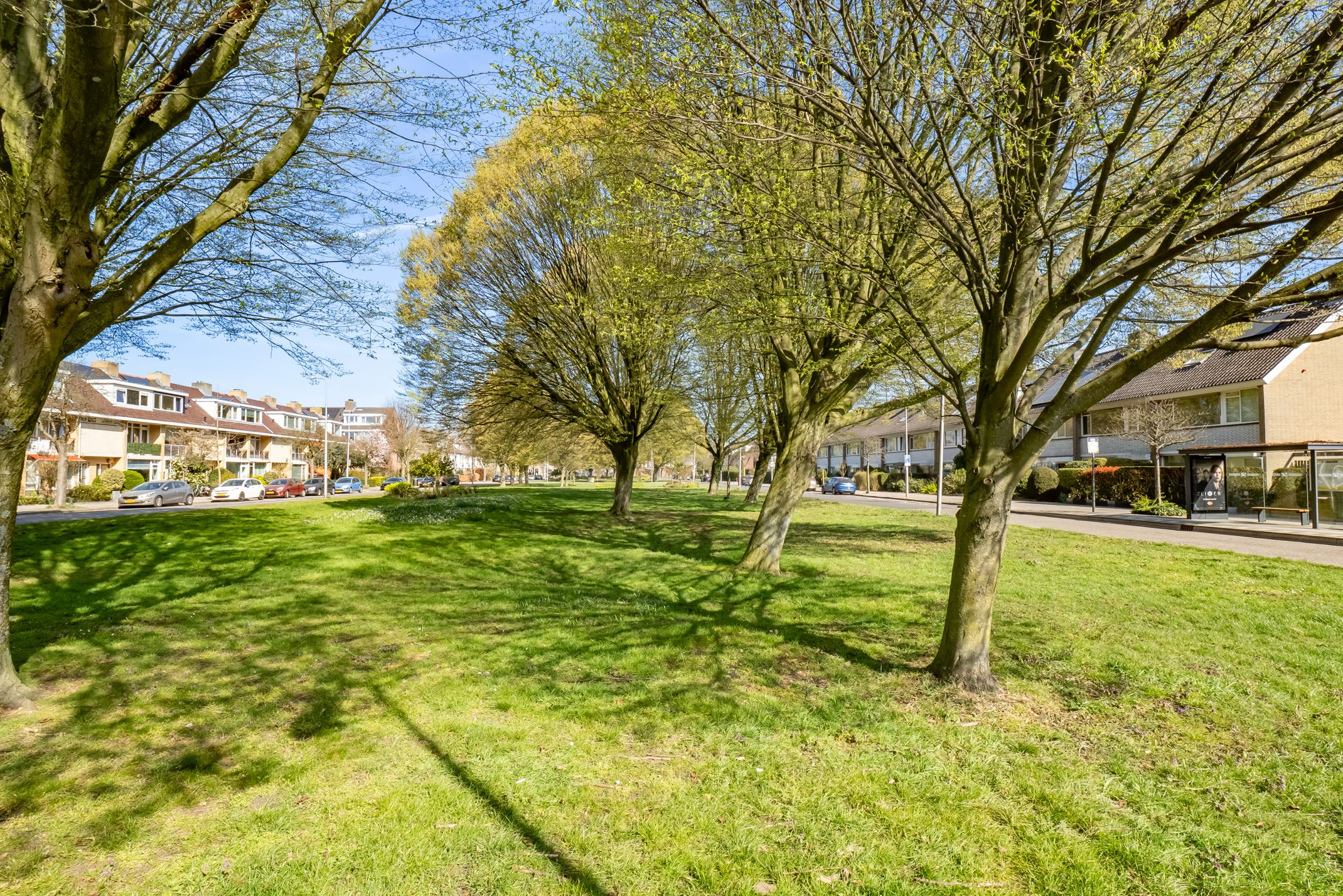 Foto 33 van Molengraaffplantsoen 36