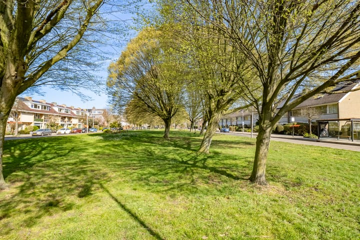 Foto 33 van Molengraaffplantsoen 36