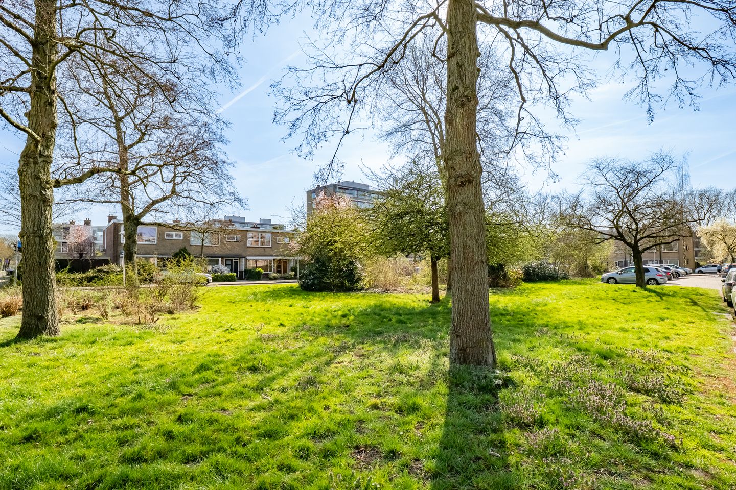 Foto 34 van Molengraaffplantsoen 36