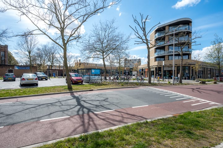 Foto 35 van Molengraaffplantsoen 36