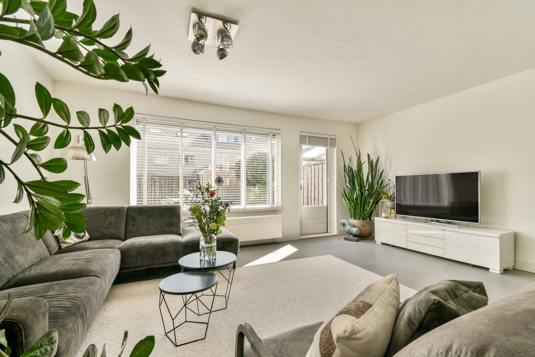 Foto 2 van Begoniastraat 10