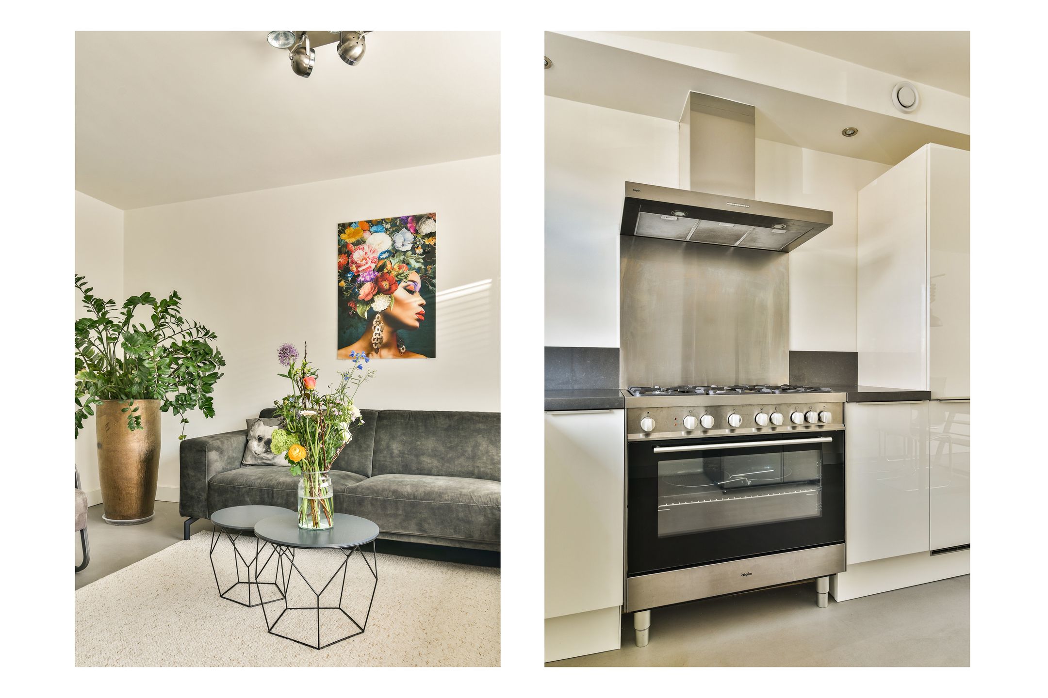 Foto 9 van Begoniastraat 10