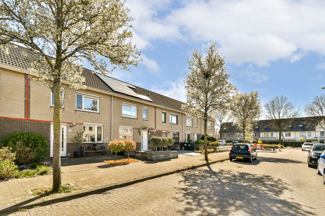 Foto 31 van Begoniastraat 10