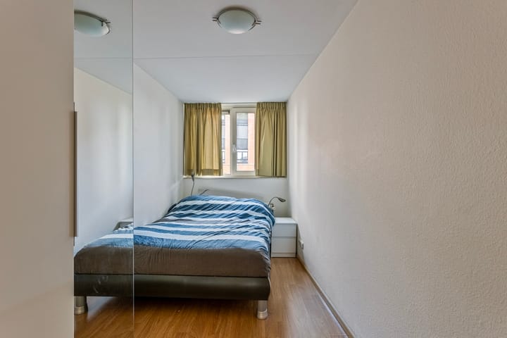 Foto 10 van Sphinxlunet 105-F