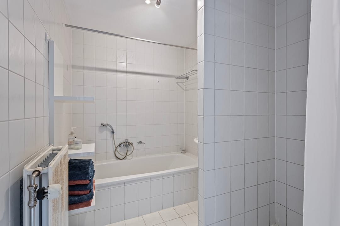 Foto 11 van Sphinxlunet 105-F