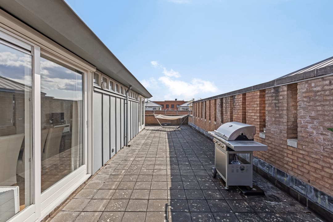 Foto 13 van Sphinxlunet 105-F