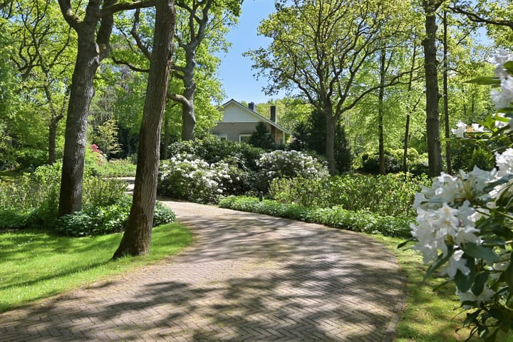 Foto 11 van Konijnenlaan 17