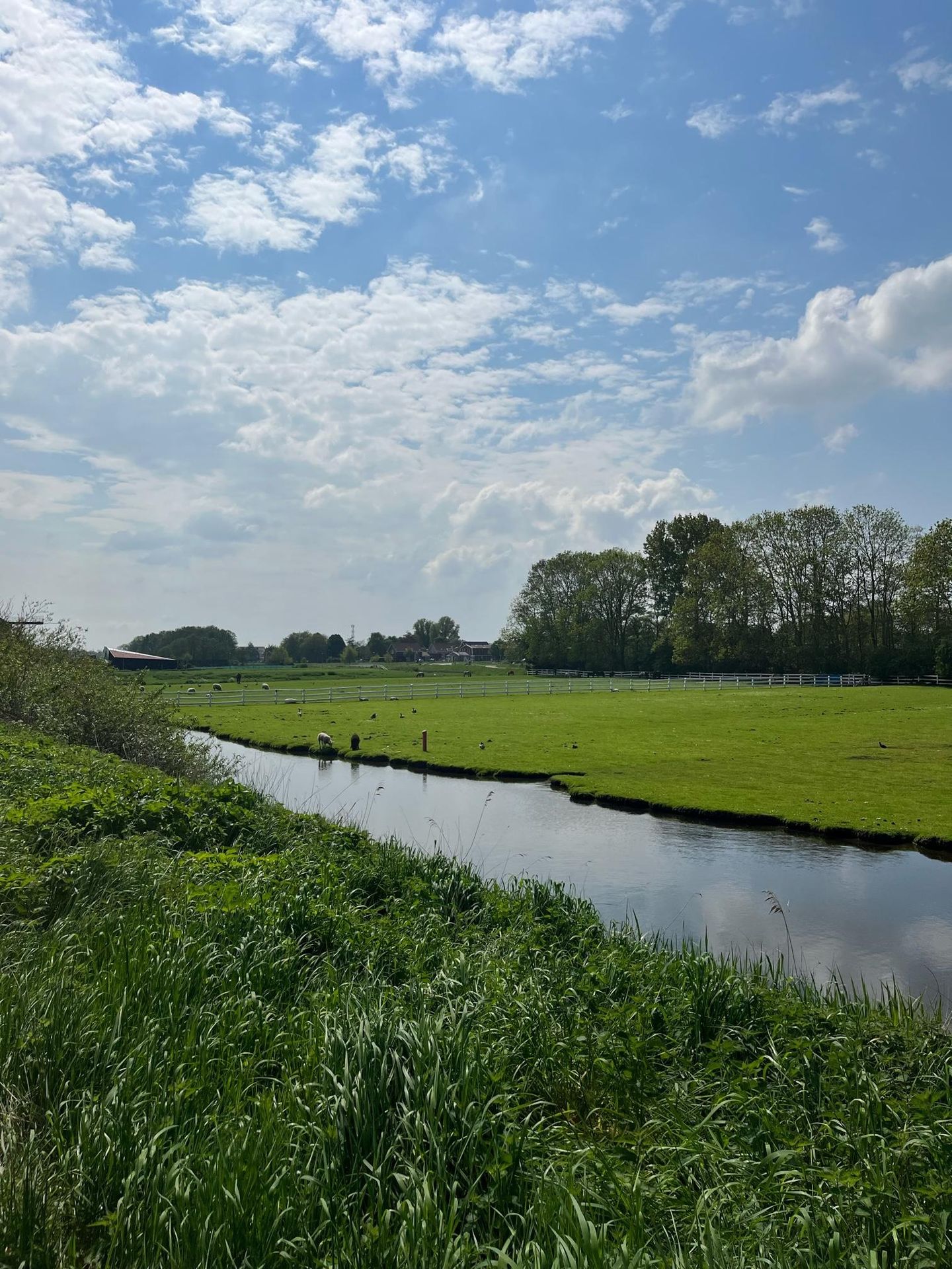 Foto 20 van Dijk 2-B