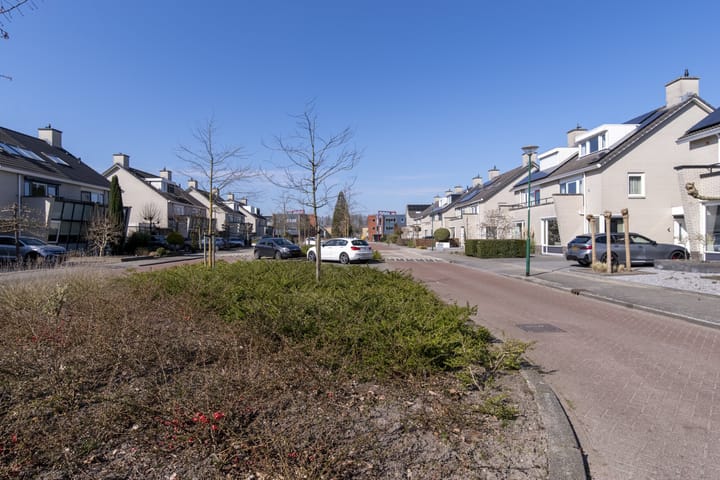 Foto 36 van Breukkruid 17