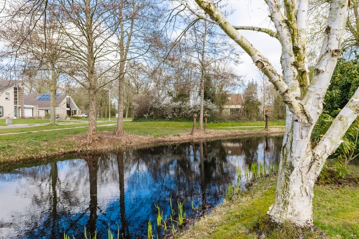 Foto 27 van Bûtergêrs 5