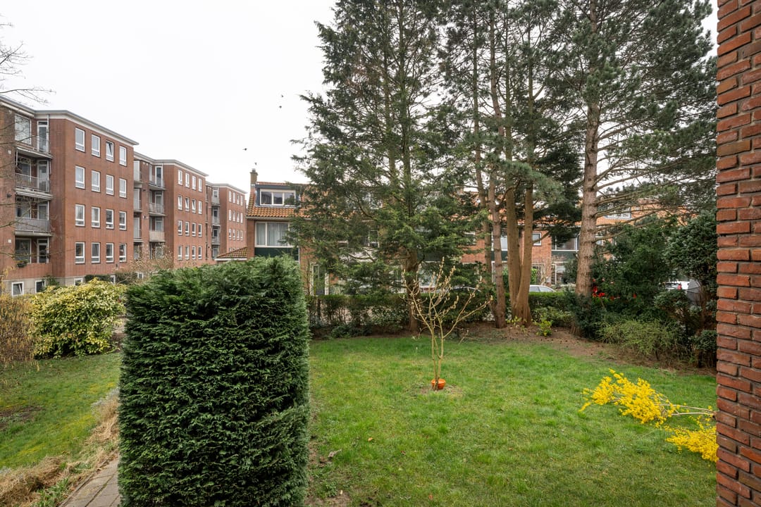 Foto 16 van Plesmanlaan 36