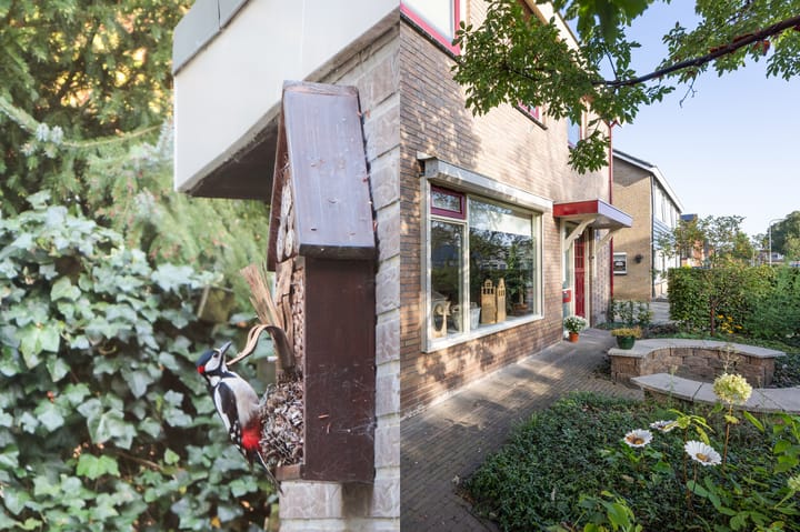 Foto 65 van Schoolstraat 44