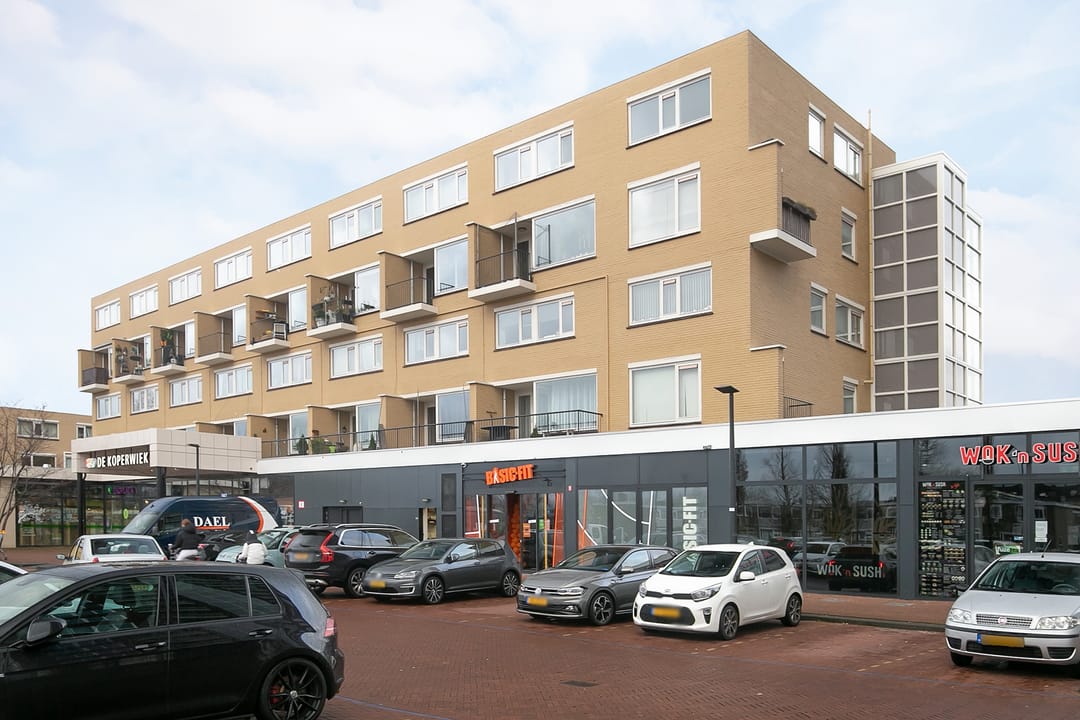 Foto 1 van Reigerlaan 227