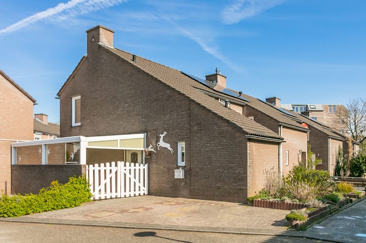 Foto 2 van Fossielenerf 724