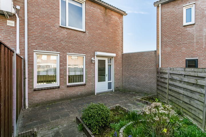 Foto 17 van Fossielenerf 724