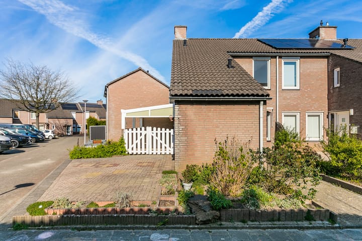 Foto 19 van Fossielenerf 724