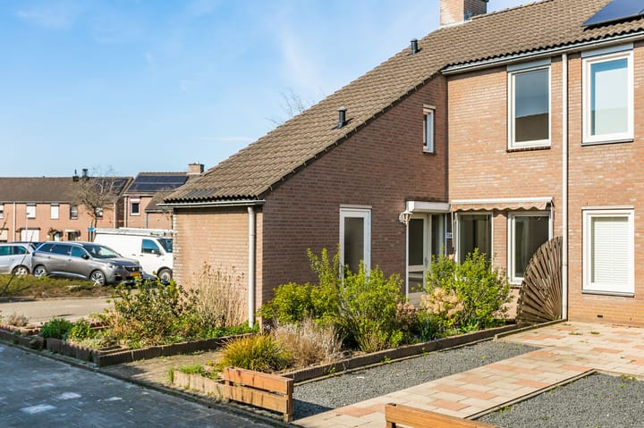 Foto 20 van Fossielenerf 724