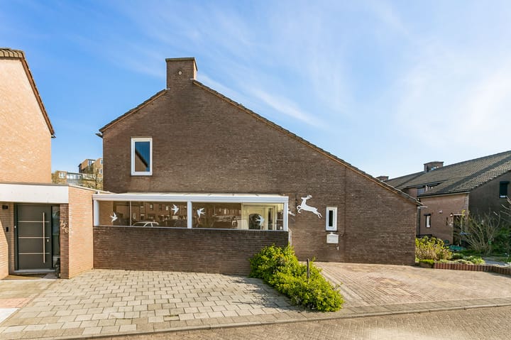 Foto 21 van Fossielenerf 724