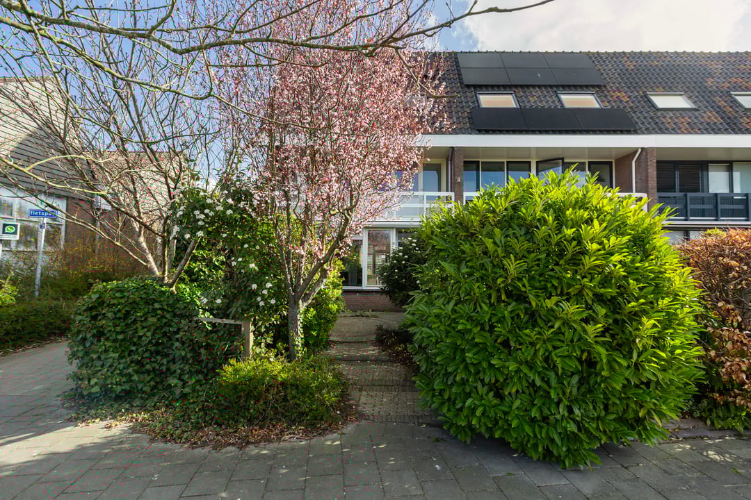 Foto 1 van Hofsingel 45