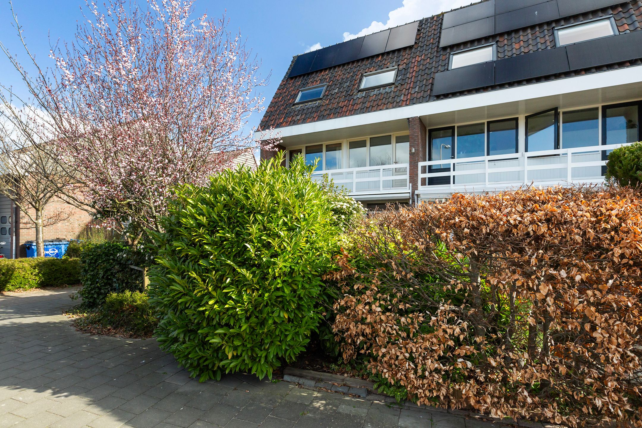 Foto 6 van Hofsingel 45