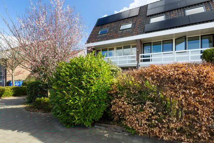 Foto 6 van Hofsingel 45