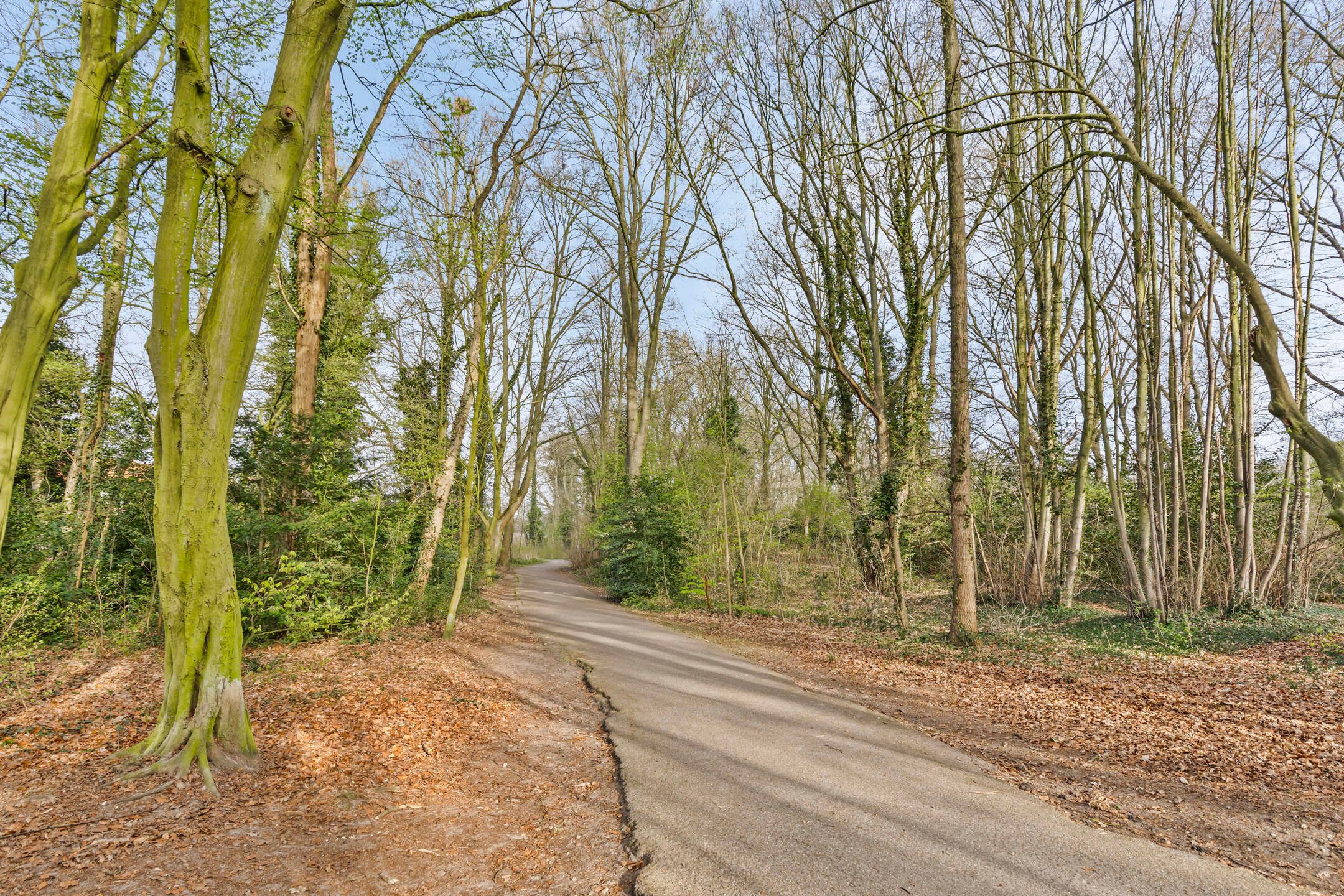 Foto 24 van Deken Oomenstraat 5