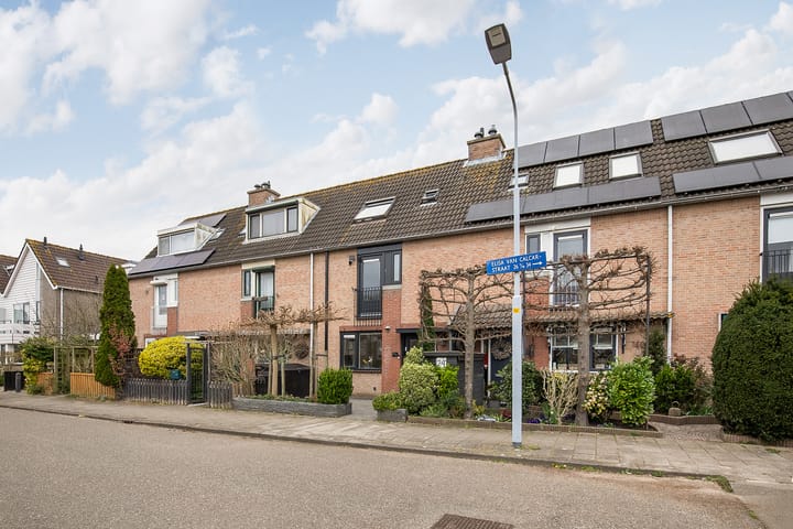 Foto 41 van Elisa van Calcarstraat 22