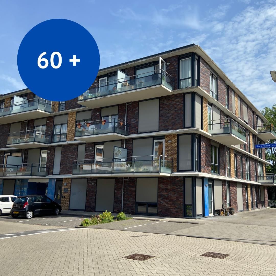 Foto 1 van Tamarixplantsoen 361