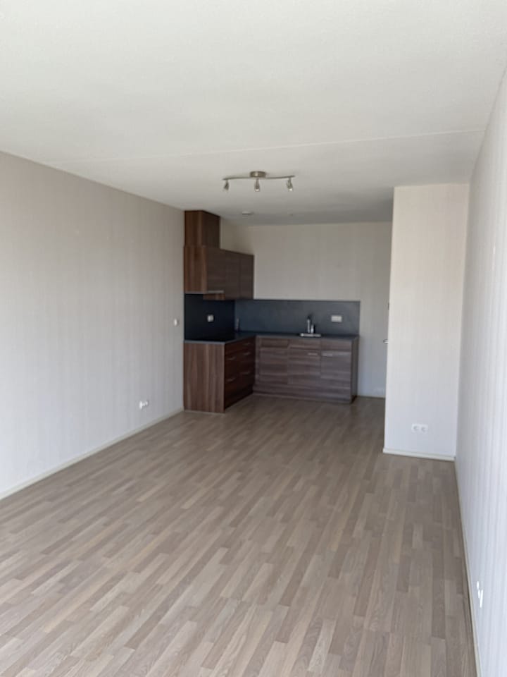 Foto 4 van Tamarixplantsoen 361