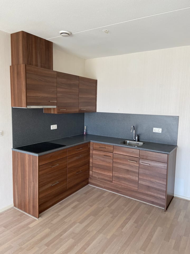 Foto 5 van Tamarixplantsoen 361