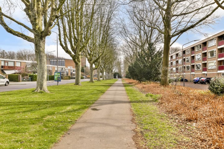 Foto 32 van Groen van Prinstererweg 61