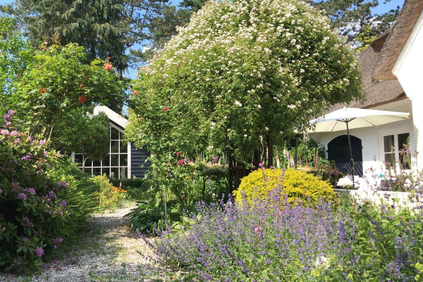 Photo 35 of Teunisbloemlaan 14