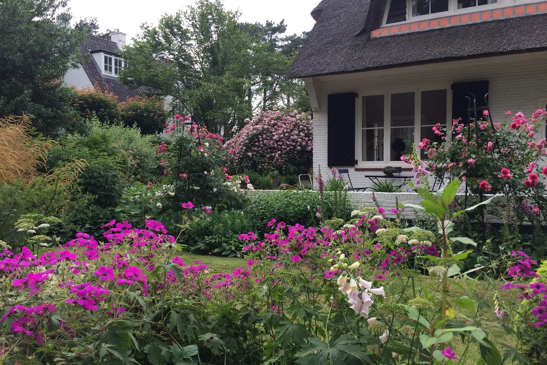 Photo 43 of Teunisbloemlaan 14