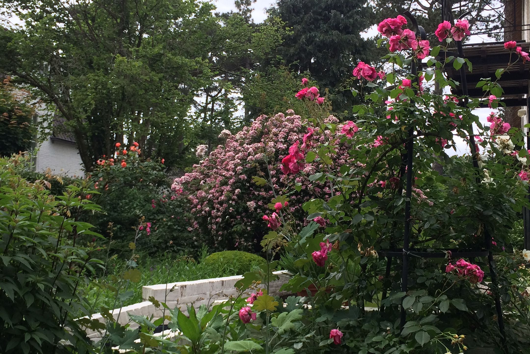 Photo 45 of Teunisbloemlaan 14