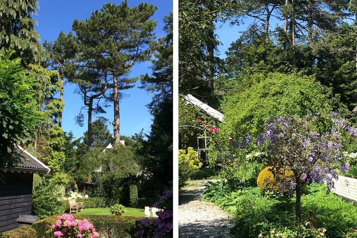 Foto 46 van Teunisbloemlaan 14