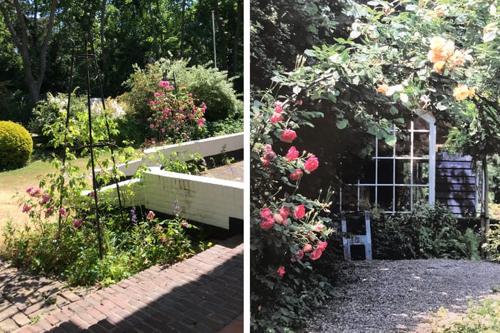 Foto 47 van Teunisbloemlaan 14