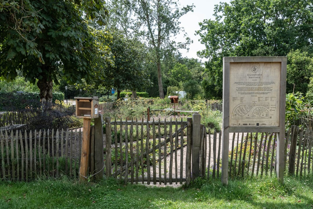 Photo 53 of Teunisbloemlaan 14