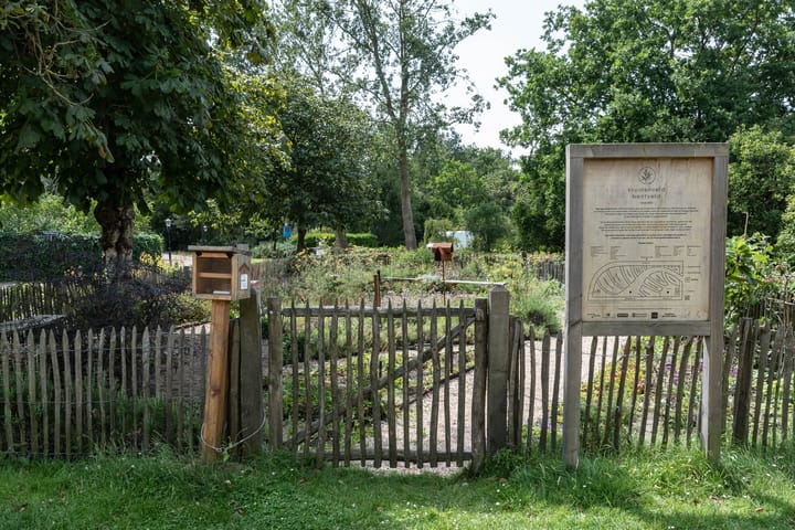 Foto 53 van Teunisbloemlaan 14