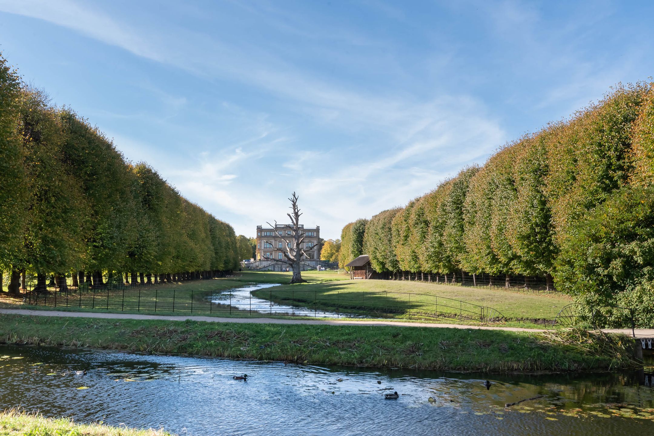 Photo 54 of Teunisbloemlaan 14