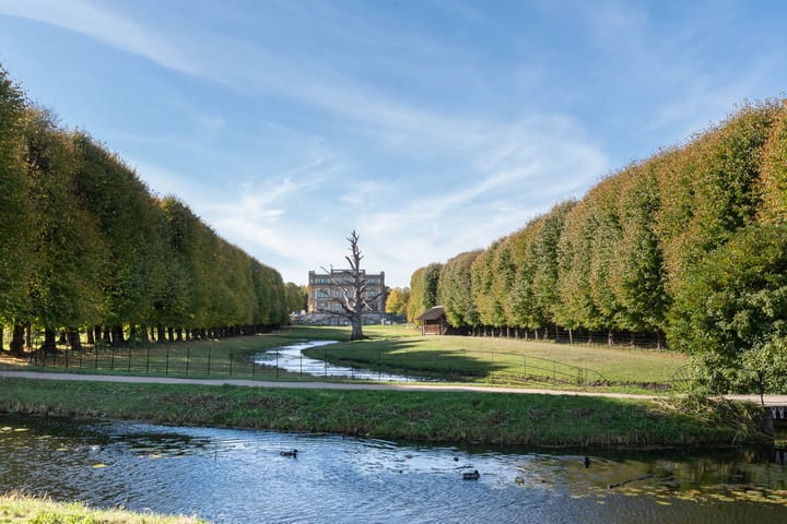 Foto 54 van Teunisbloemlaan 14