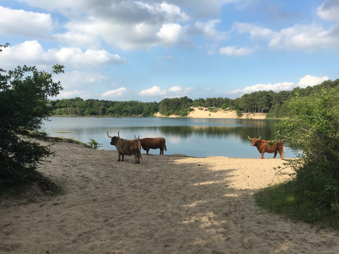 Photo 56 of Teunisbloemlaan 14