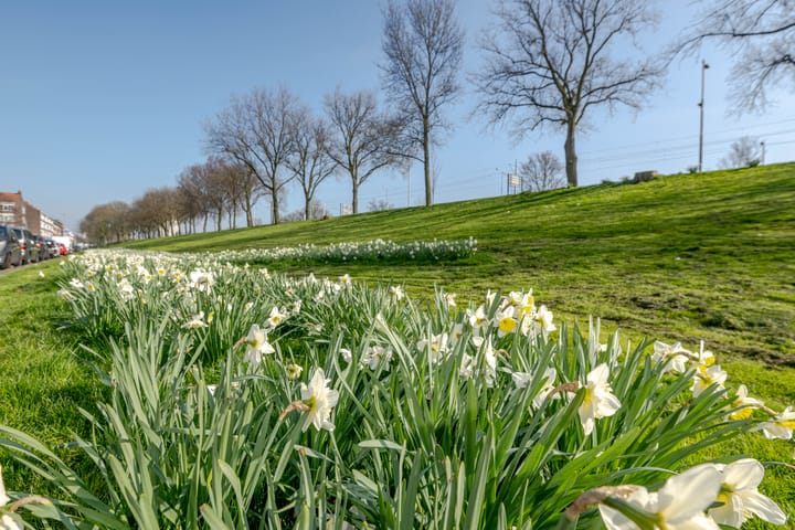 Foto 25 van Rotterdamsedijk 16-B