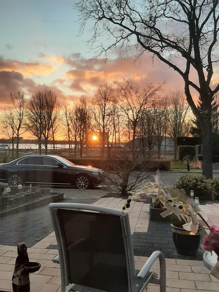 Foto 8 van Scheldelaan 87