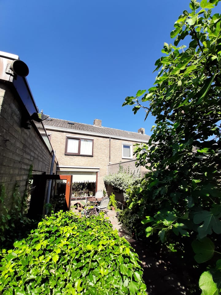 Foto 30 van Scheldelaan 87