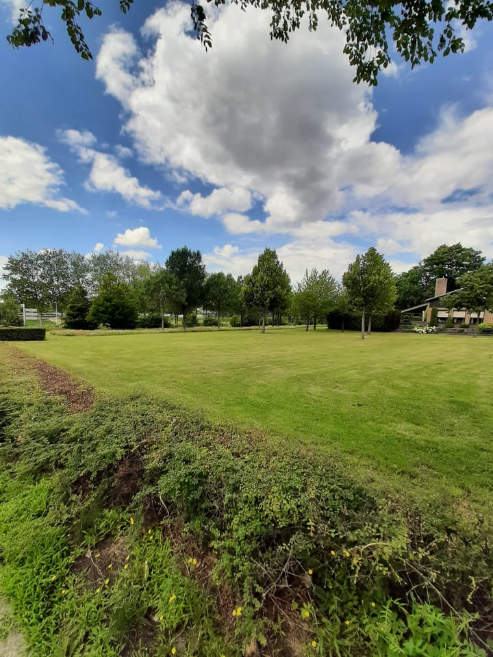 Foto 37 van Scheldelaan 87